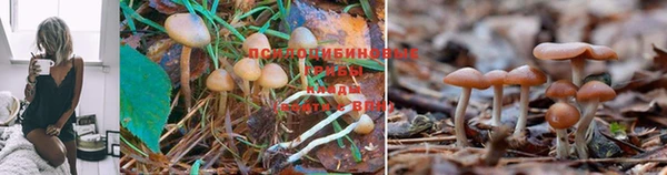 кокаин колумбия Надым