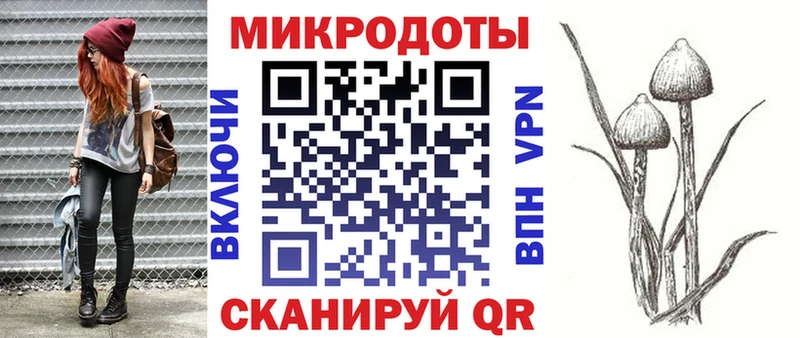 купить наркотик  Новокубанск  Псилоцибиновые грибы GOLDEN TEACHER 