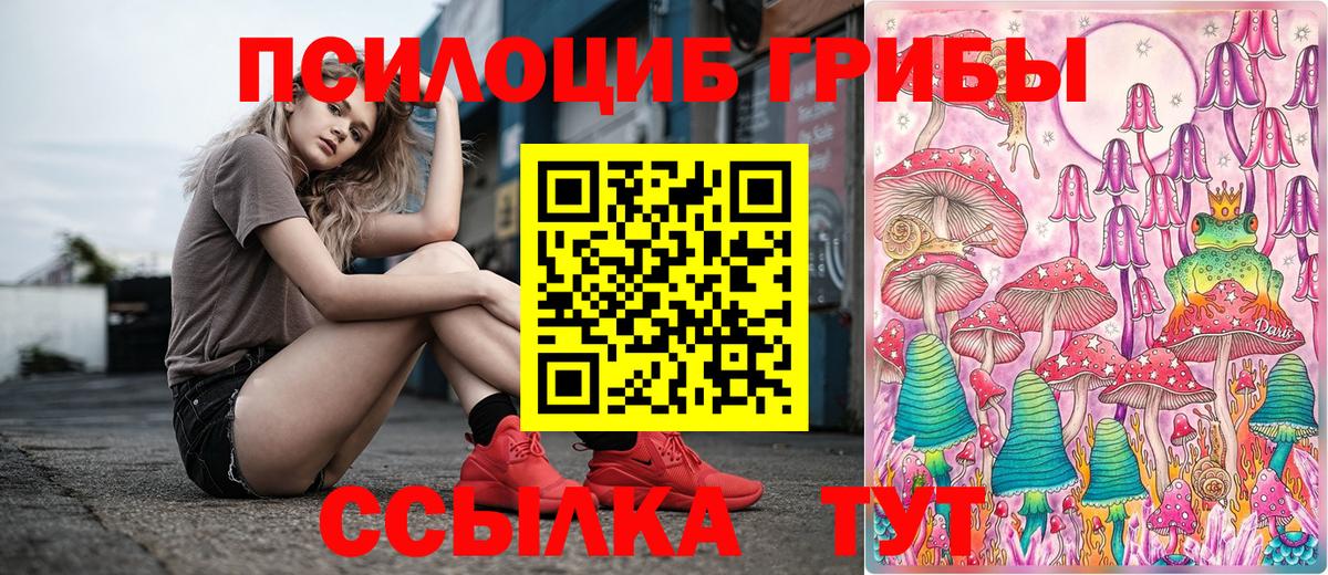 Псилоцибиновые грибы Psilocybine cubensis Новокубанск