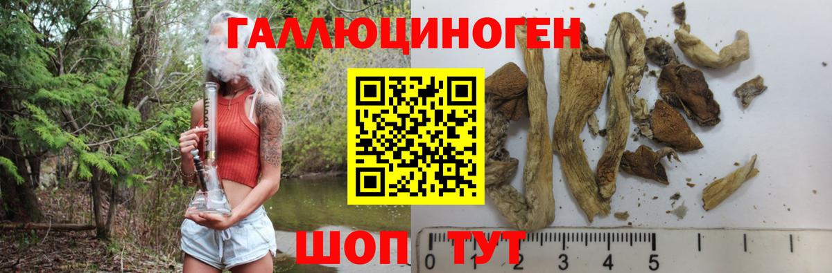 Галлюциногенные грибы Psilocybine cubensis  Вход с VPN  Галлюциногенные грибы Psilocybe  Новокубанск 